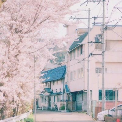 kaiyun平台app下载