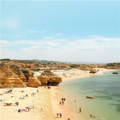 谈球吧·体育截图