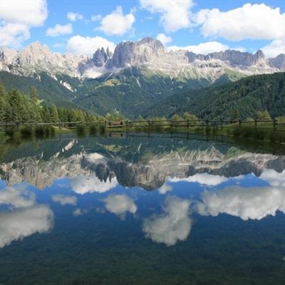 澳门4949资料免费大全下载手机版截图