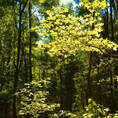 ag入口官网登录下载手机版